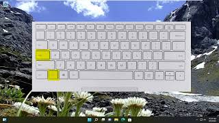 How to Enable or Disable Function Keys in Windows 1011 [upl. by Sug]