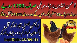 Lohmann Brown business in Pakistan  Poultry Ideas [upl. by Aerdnuahs]