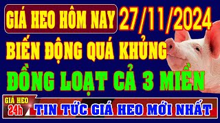 Giá heo hơi ngày 27112024  BIẾN ĐỘNG KHỦNG ĐỒNG LOẠT CẢ 3 MIỀN [upl. by Schuh]