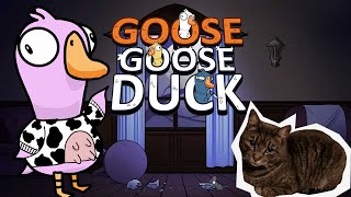 Goose Goose Duck  MACSKA ÉS SZEMÉLYISÉGTOLVAJ  1 SopHi4YT [upl. by Yelnahs301]