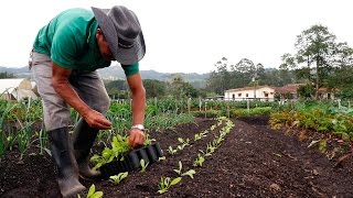 Importancia de la Agricultura Orgánica  TvAgro por Juan Gonzalo Angel [upl. by Seessel]