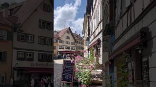 Vlog  visite de Strasbourg et son architecture lifestyle strasbourg vacances 💕 [upl. by Enomed840]