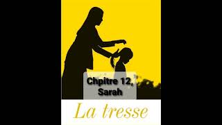 12  La tresse  Chapitre 12  livre audio  Laetitia Colombani [upl. by Imnubulo227]