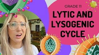 Virus Reproduction  Lytic and Lysogenic cycles [upl. by Notrom252]