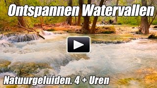 Ontspannen bos Creek Waterval Natuurgeluiden Studie Meditatie Slaap Geluid van Water ontspanning [upl. by Norma]