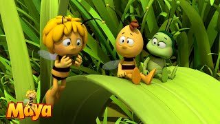 Should We Help the Frogs  Maya the Bee🐝🍯🐝 [upl. by Nagol257]