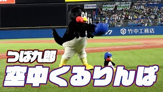 頑張って挑戦！つば九郎空中くるりんぱ｜2024年9月8日 阪神タイガース戦（神宮球場） [upl. by Kellyann]