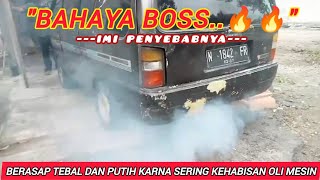 BAHAYA BOSS 😱 PENYEBAB BERASAP PUTIH DAN TEBAL [upl. by Gassman]