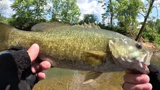 EPIC DAY Caney Fork River Fishing [upl. by Frankie580]