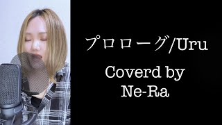 【中学聖日記】『プロローグUru』covered by NeRaネーラ【ドラマ主題歌】 [upl. by Hilario984]