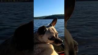 Clear Lake Oregon Dispersed Camping short [upl. by Anavoig]