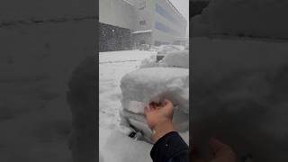 SNOW FALL South Korea 2024 Winter Season First Day SNOWFALL ❄️🇰🇷RAJEEV VLOG [upl. by Ronyam]