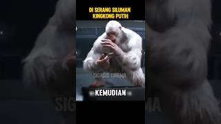 Menangkap kingkong putih pakai buku shorts cuplikanfilm alurceritafilm [upl. by Nossah660]