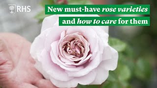 New musthave rose varieties and how to care for them  The RHS [upl. by Donelu]