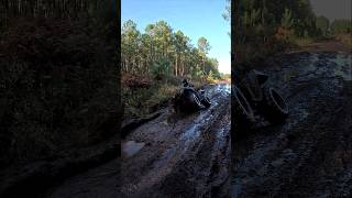 The hole 🕳😨 polaris sportsman sportsman500ho atv quad 4x4 offroad offroad4x4 mud [upl. by Meta]