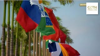 POINT DE VUE AFRICAIN Les BRICS apportent une alternative au système économique mondial [upl. by Suirauqram]