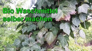 Natürliches Waschmittel aus Efeu selber machen – DIY Umweltschonendes Bio Waschmittel herstellen [upl. by Keg]