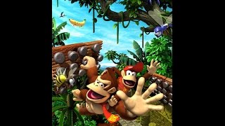 TAS Donkey Kong Jungle Climber World 1 [upl. by Atteynot]