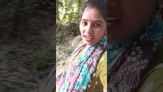 Pend paudhe aur chidiya👌👌👌👌👌 viral sort video [upl. by Dorisa]