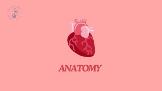 98  Common carotid artery internal carotid artery [upl. by Ecilahs]