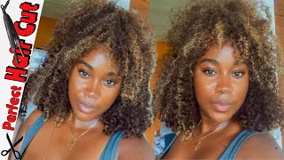 THIS COLOR IS EVERYTHING 🔥🔥CURLY HIGHLIGHT WIG INSTALL FT RESHINE HAIR  BEYONCE INSPIRED WIG [upl. by Hengel]