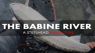 The Babine River  A Steelhead Adventure [upl. by Myca135]