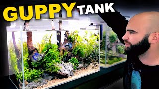 Medium Tech amp Budget Guppy Nature Aquarium Full Tutorial [upl. by Aidyn302]