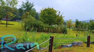 비오던날에 산책길에 비가 길동무가 돼어 Rain ASMR 🌧️🌧️🌧️🌧️🌧️🌧️🌧️🌧️🌧️🌧️☔💧☔💧☔ [upl. by Harwell]