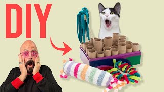 Make Your Cat Happy with DIY Cat Toys [upl. by Ayokahs]