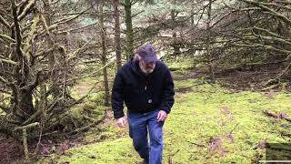 Paul encounters the purple club fungus Alloclavaria purpurea [upl. by Aiuqes]