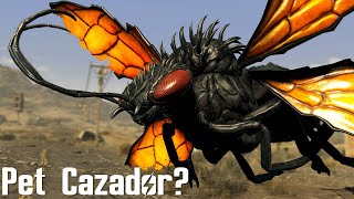 You Can Befriend Cazadores in Fallout New Vegas [upl. by Elyrad]