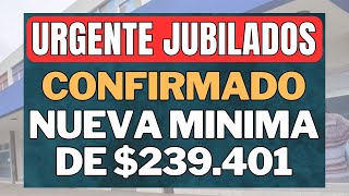 CONFIRMADO AUMENTO por DNU  BONO en ABRIL 2024 a JUBILADOS y PENSIONADOS Anses [upl. by Josephine258]