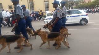 Zimbabwean police in Bulawayo Launch of CCTV to curb crime [upl. by Sikras688]