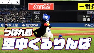 成功が見えてきた！つば九郎空中くるりんぱ｜2024年8月28日 巨人戦（神宮球場） [upl. by Tivad308]