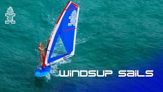 2017 Starboard WindSUP Sails [upl. by Sakul91]