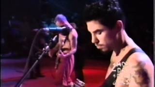 Red Hot Chili Peppers  Live  Woodstock 94 Full Concert [upl. by Araccot]