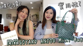 開箱GOYARD MINI TOTE BAG 迷你號托特包｜ANJOU MINI BAG [upl. by Barbour]