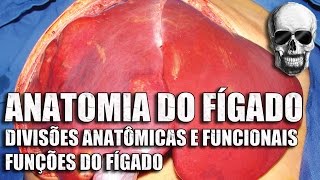 Vídeo Aula 150  Anatomia Humana  Sistema Digestório • Fígado Anatomia funcional e funções gerais [upl. by Groveman]