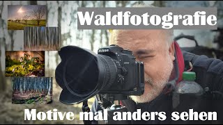 Landschaftsfotografie  WALDFOTOGRAFIE mal anders  Mehrfachbelichtung Panoramen Makro usw [upl. by Ayet]