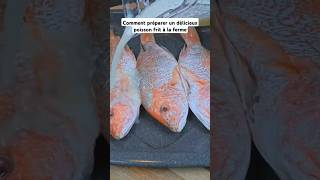 Comment préparer un délicieux poisson frit à la ferme poissonfrit recette food shorts friture [upl. by Noyerb471]