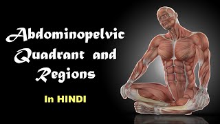 Abdominopelvic Regions and Quadrants l Anatomy in Hindi [upl. by Elocim758]