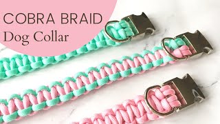 Cobra Braid Dog Collar  Full StepbyStep Tutorial [upl. by Chapel134]