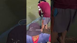 Amazing Net Fishing Video😌 foryou secomando1 fishing viralvideos shortvideos highlights [upl. by Giliana]