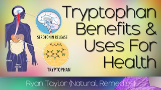 Tryptophan Benefits and Uses [upl. by Shelman]