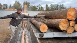 Giants on the Conveyor How Tons of Timber Are Transformed into Fine Chips 🌲⚙️ [upl. by Zile951]