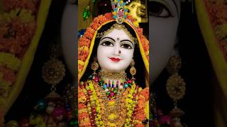 Meri Vinti Yahi Hai Radha Rani Radharani Status Trendingshortsviral BhajanChitravichitraji [upl. by Rusert654]