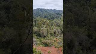 Upper Huia in the Waitakere Ranges [upl. by Machos]