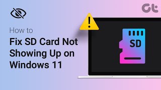 How to Fix SD Card Not Showing Up on Windows 11  Why is the SD Card Not Detected on Windows 11 [upl. by Atiraj951]