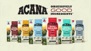 ACANA CANADA Healthy Grains [upl. by Francie386]