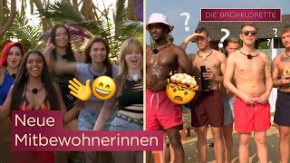 DIE FRAUEN mischen die Villa auf und stellen alles auf den Kopf ⚡  Die Bachelorette [upl. by Aimerej410]